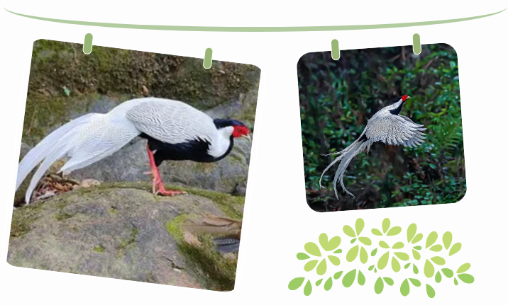 �������£�������������ػ���Ȼ����