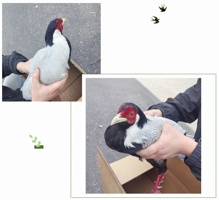 �������£�������������ػ���Ȼ����