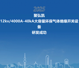 77779193���� (�й�)���޹�˾����12kV/4000A-40kA���������������Ե����װ���з��ֳ�