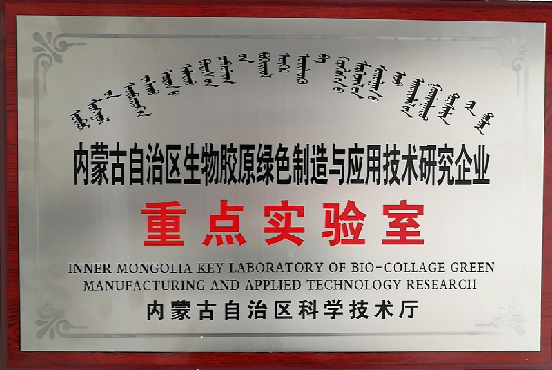 333体育-全网最有氛围的体育赛事直播平台